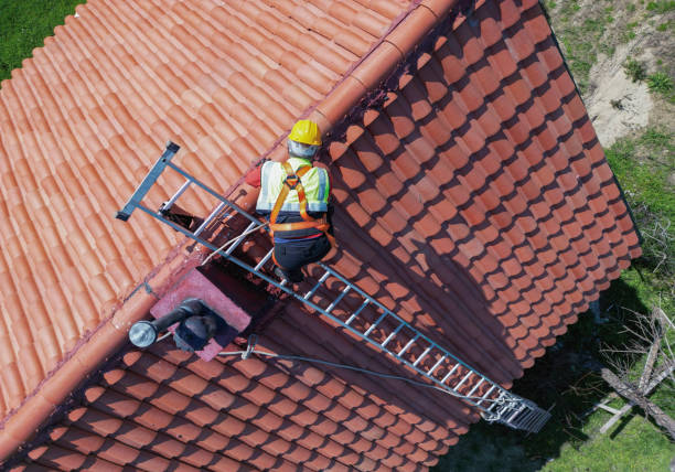 Best Roof Moss and Algae Removal  in Parsippany, NJ